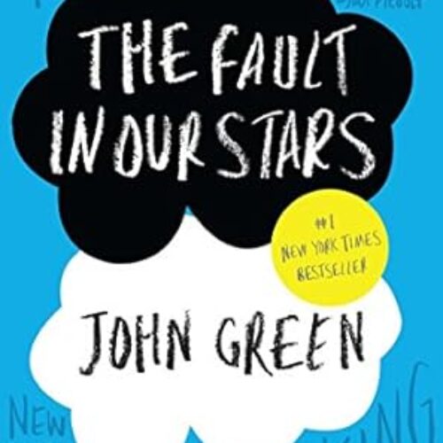 The Fault in our Stars Paperback by John Green