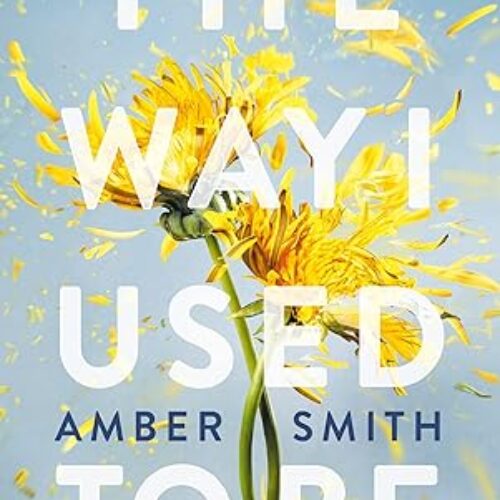 The Way I Used To Be by Amber Smith(paperback)Book 1