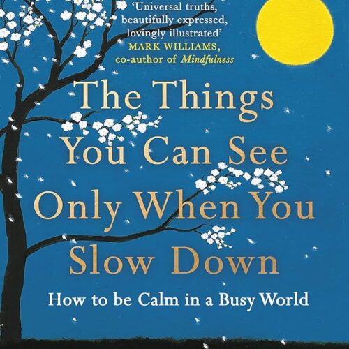 The Things You Can See Only When You Slow Down: How to be Calm in a Busy World |Over 3 million copies sold Paperback – 1