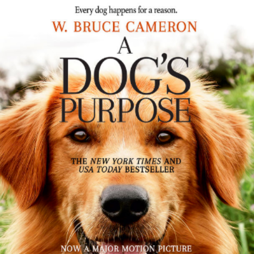 A Dog’s Purpose