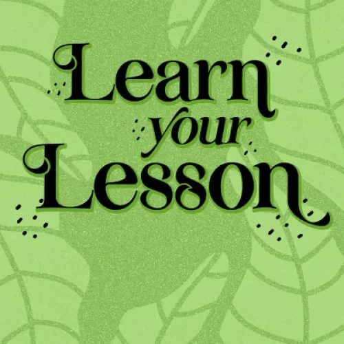 Learn Your Lesson: (Special Edition) (Paperback) – by Kandi Steiner